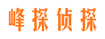 桂阳峰探私家侦探公司